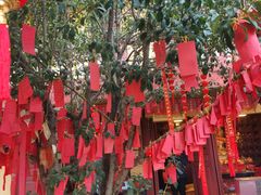 -福州开元寺