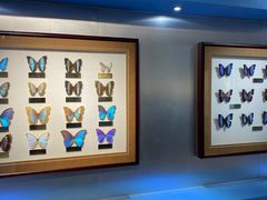 -上海昆虫博物馆