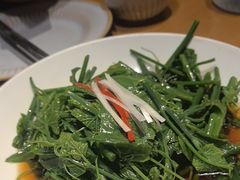 爽口丝瓜尖-丹江渔村(龙旗店)