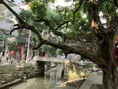 -小洲村