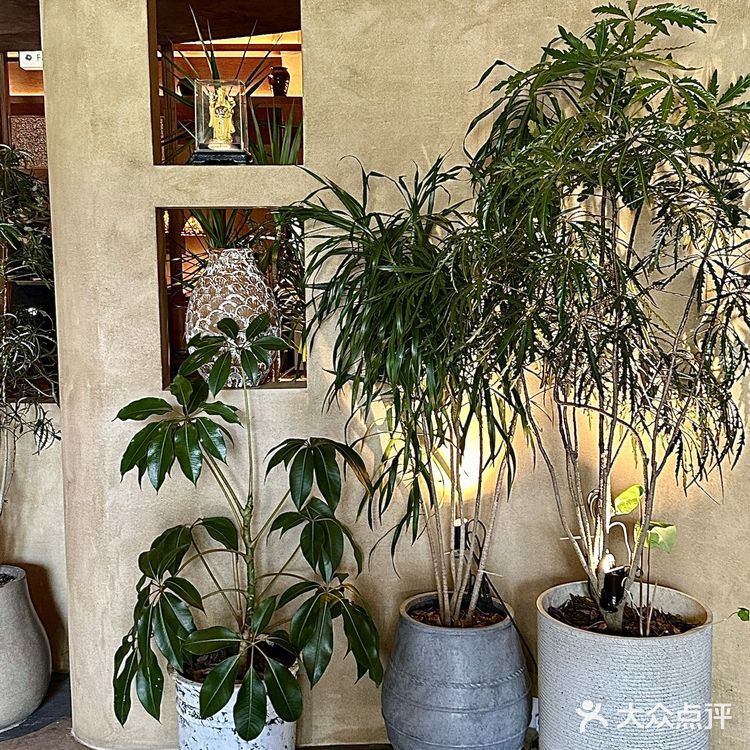 大运新开这家韩料，聚餐约会好去处