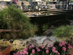 -蘇河湾·新鲁菜·泰山宴(泰山店)