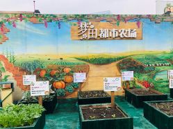 -梦田都市农场(银泰城店)