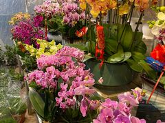 -双季花艺园艺市场(浦东店)