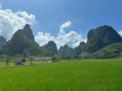 -明仕田园