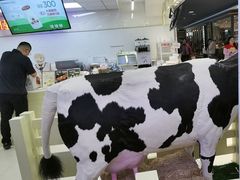 -红星前进面包牛奶公司(君太店)