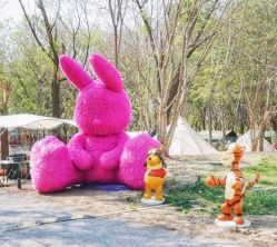 -268童话露营营地·烧烤·团建