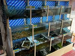 -蔚海之都·象山蒸汽海鲜(仙霞路店)