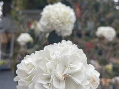 -糖果时光文创产业园