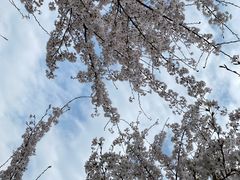 -陕西省西安植物园