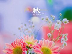 -Yum Yum 土耳其风味餐厅(万达尊店)