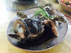 清蒸鱼-斌记海鲜加工(十四涌店)