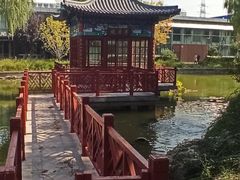 -炑羊香烤全羊(西三旗店)