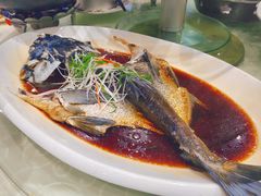 清蒸四海胖头鱼-雅和生态渔庄·宜城锅巴饭(龙灵山公园店)