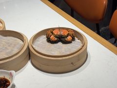 -杨氏青龙虾·羊蝎子(托乐嘉店)