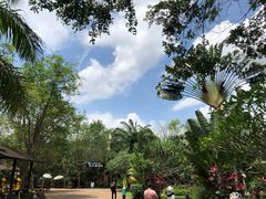 -海南热带野生动植物园
