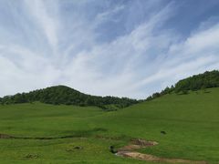 -关山草原