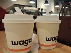 -Wagas沃歌斯(浦东机场店)