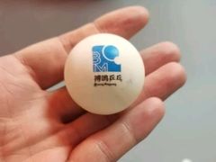 -搏鸣乒乓球俱乐部(万柳店)