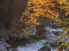 -光雾山旅游景区