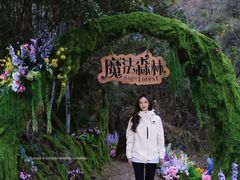-龙湾潭国家森林公园