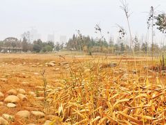 -滆湖低碳生态公园