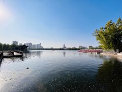 -莲花池公园