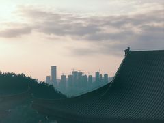 -深圳仙湖植物园
