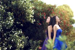 -维纳斯婚纱摄影(预约减现金)