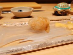 白虾-嶺寿司