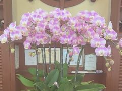 -金河半岛园林酒家(金融城店)
