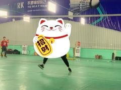 -羽跃羽毛球馆(民星路店)