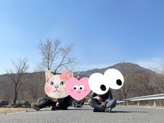 -阳台山自然风景区