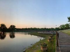 -明珠湖天鹅苑·农家菜馆