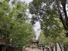 -龙潭水乡