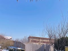 -大连金石滩绿发温泉假日酒店