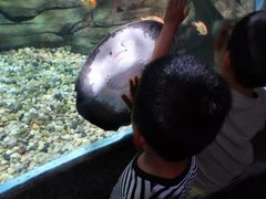 -苏州海洋馆