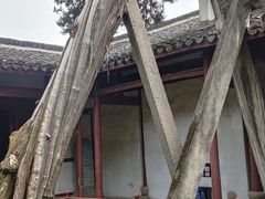-太平天国侍王府