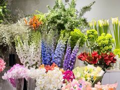 -双季花艺园艺市场(浦东店)