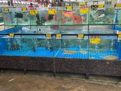 -绿雅居原生态农庄(小涌店)