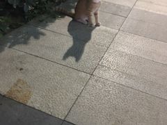 -纽斯桑拿会所(天山店)