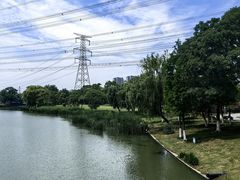 -九里河湿地公园