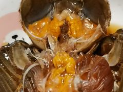 -黄记大闸蟹专卖店·活蟹·醉蟹