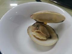 -顺德哥卜卜贝(旗舰店)