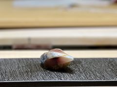 -鮨清日本料理