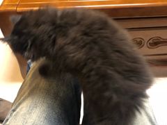 -大观园影院式足浴Spa店(沙坪坝店)