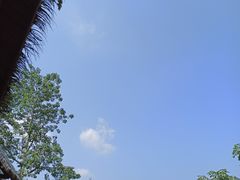 -海南槟榔谷黎苗文化旅游区