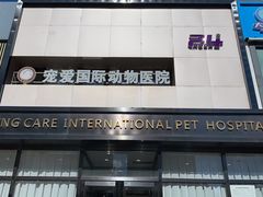 -宠爱国际动物医院· 猫科· 外科·中兽医(长白店)