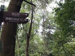 -东莞市大岭山森林公园