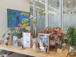-dōTERRA多特瑞精油生活馆